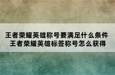 王者荣耀英雄称号要满足什么条件 王者荣耀英雄标签称号怎么获得